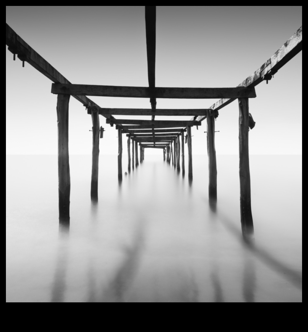 Minimālisma brīnumi: vienkāršības apgūšana fotogrāfijā