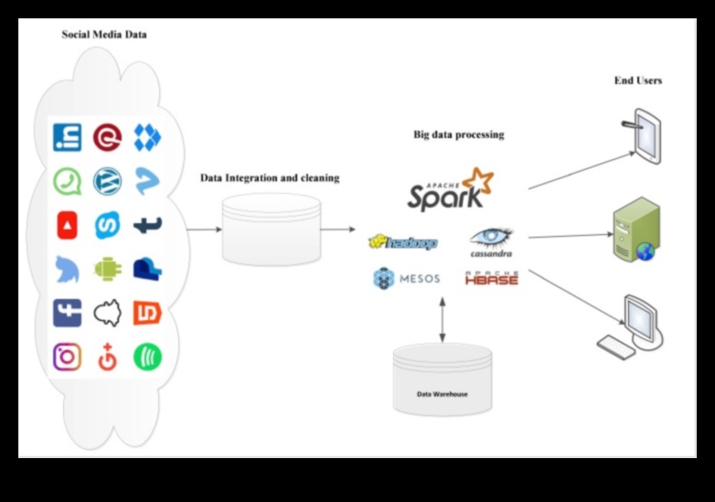 Sociālo mediju analīze Kā lielie dati maina uz datiem balstītu lēmumu pieņemšanu 4 Sociālo mediju analīze: uz datiem balstīta lēmumu pieņemšanas revolūcija