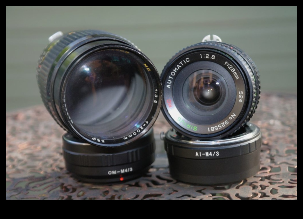 Objektīvu mantojums: izcilības veidošana, izmantojot uzlaboto fotogrāfijas izglītību