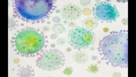 Mikroskopiskā dzeja: vizuālu pantiņu veidošana, izmantojot makroobjektīvus