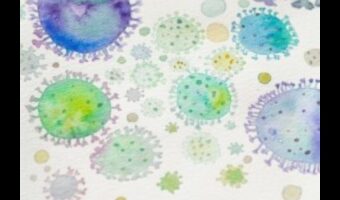 Mikroskopiskā dzeja: vizuālu pantiņu veidošana, izmantojot makroobjektīvus