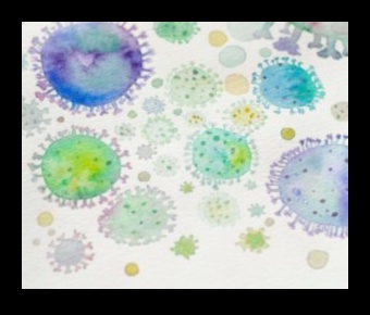 Mikroskopiskā dzeja: vizuālu pantiņu veidošana, izmantojot makroobjektīvus